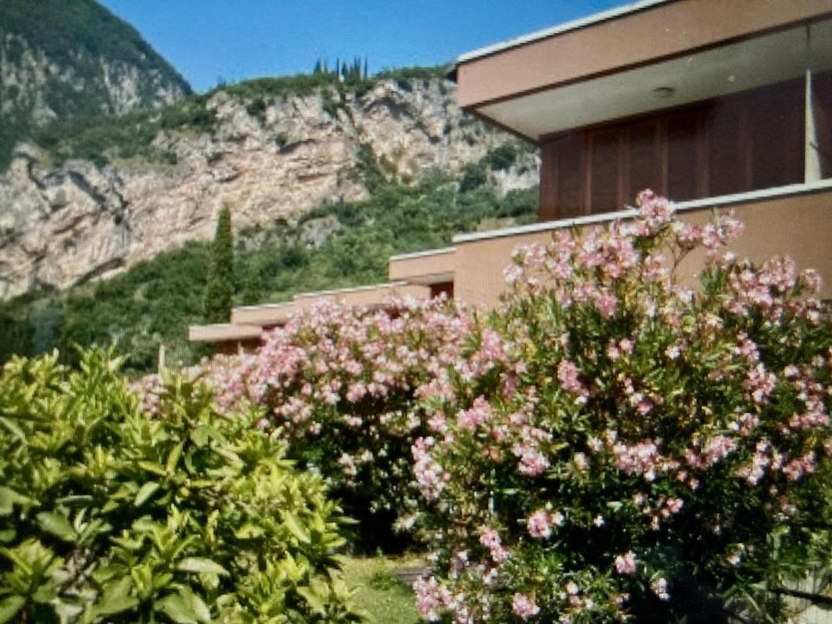 Appartamento Peppino Mit Seeblick Und Pool Riva del Garda Eksteriør bilde